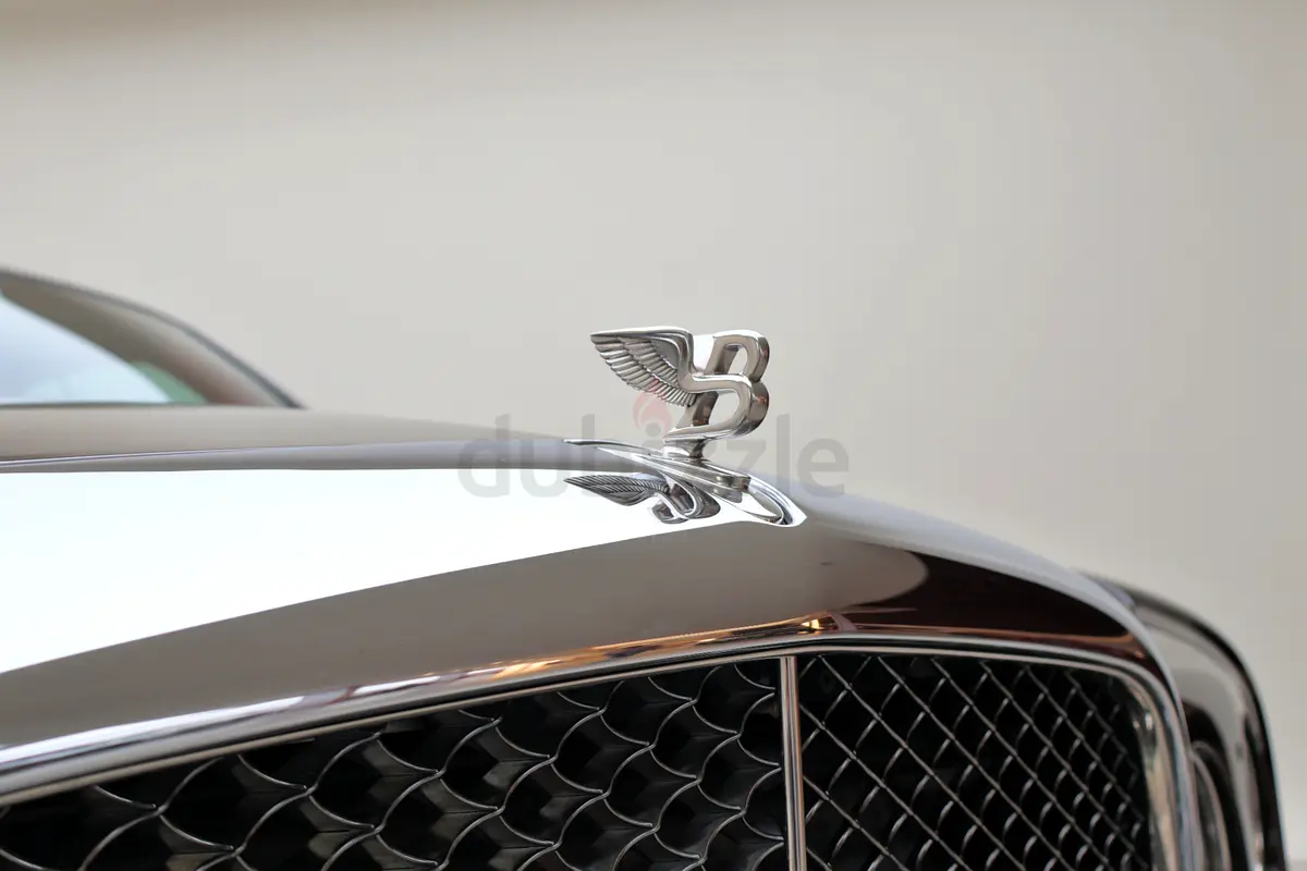 BENTLEY Brooklands Turbo RL 2009 - photo 3