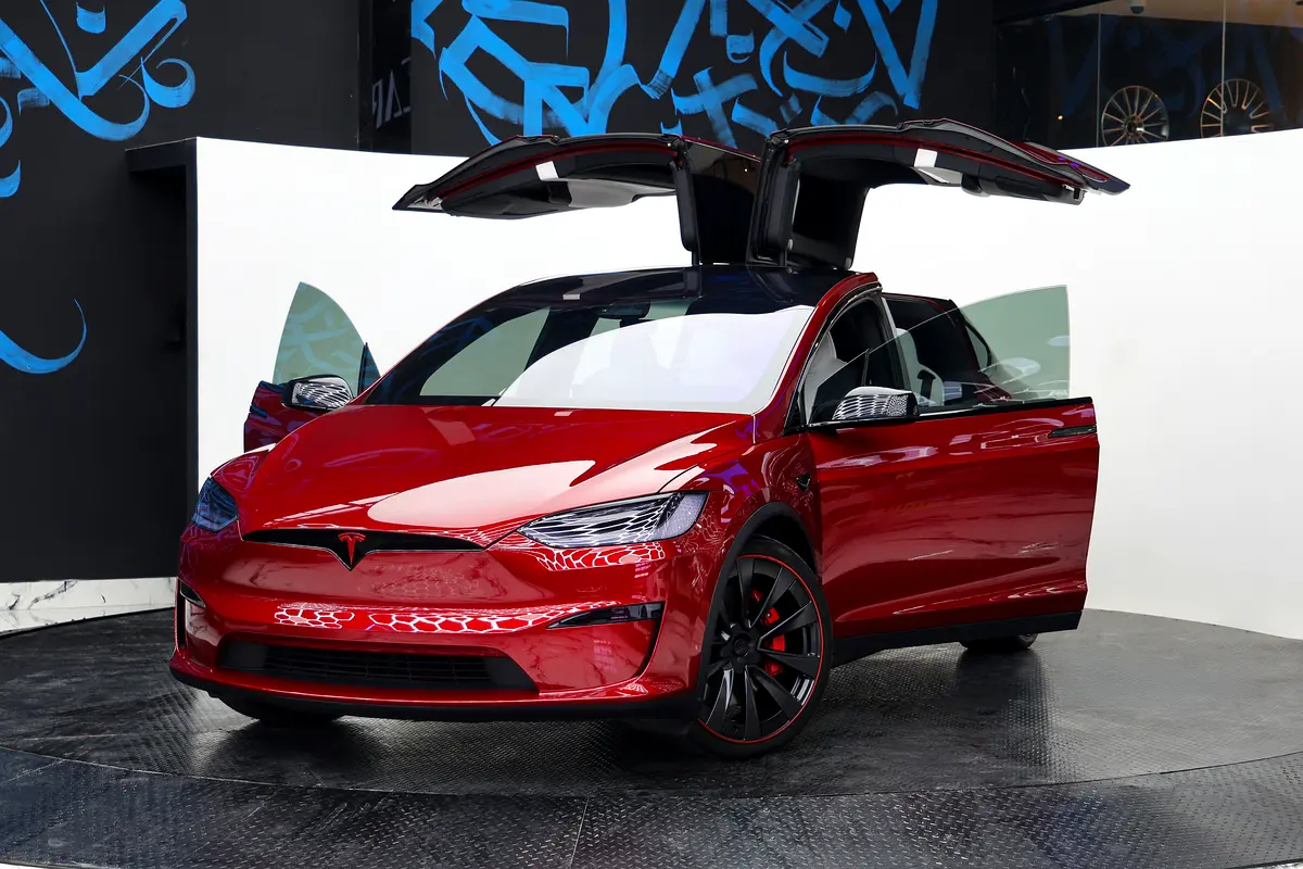 TESLA X PLAID 2023 - photo 1